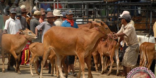 Cuma di RI harga naik jelang Lebaran, negara lain kasih diskon besar
