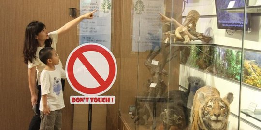 [Video] Ini alasan dilarang pegang benda koleksi museum