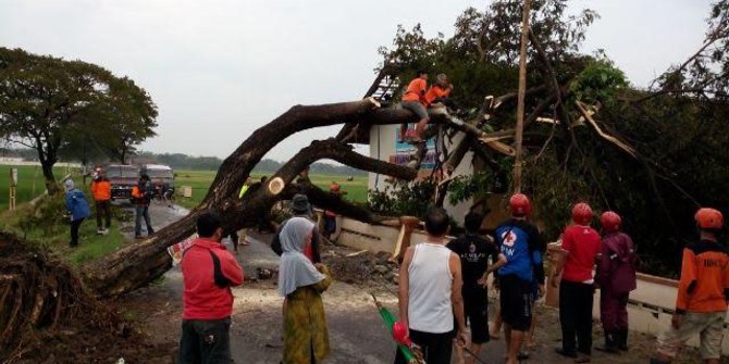 Puting beliung terjang Sukoharjo, gedung SD tertimpa pohon