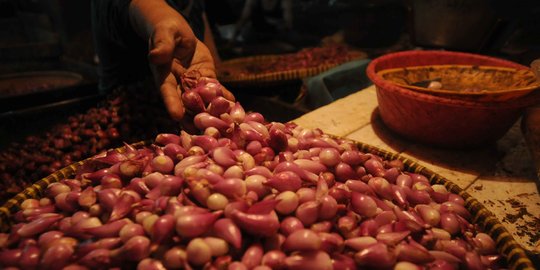 Pemulung di Bengkalis berebut sisa pemusnahan bawang merah ilegal