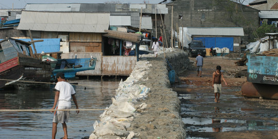 4 Hari kena banjir rob, pedagang pelelangan ikan ngeluh omzet turun