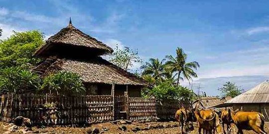Menilik kearifan lokal Suku Sasak di kaki Gunung Rinjani