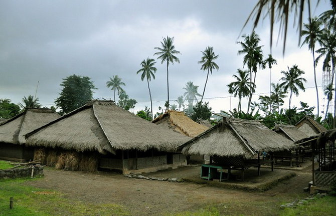 desa senaru