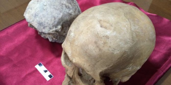 Fosil manusia purba tertua di NTT ditemukan