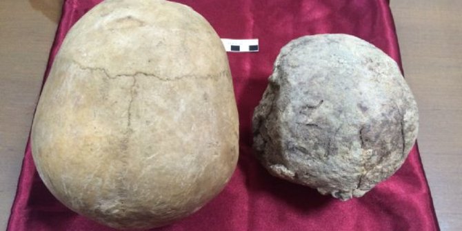 Jenis fosil manusia purba tertua di NTT masih diteliti