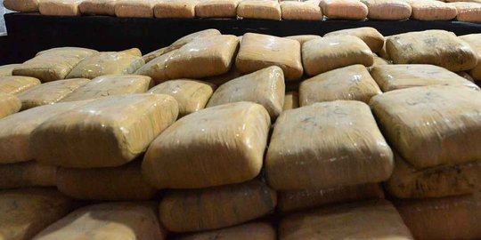 Bawa 5 kg ganja, penumpang tujuan Batam diamankan di Kualanamu