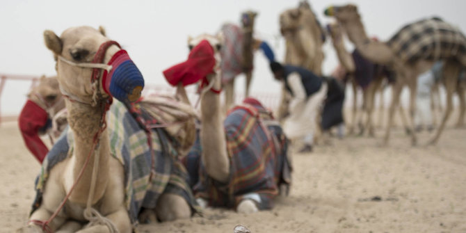 47 Koleksi Gambar Hewan Unta Hitam Putih HD