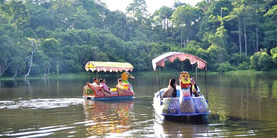 Cerita Kampung Linggang Melapeh pilih ekowisata dibanding sawit