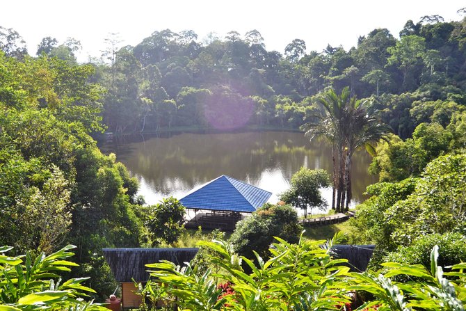 kampung linggang melapeh