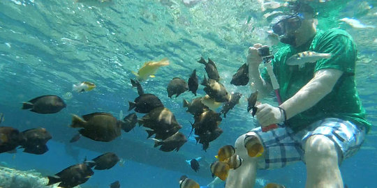 Indonesia bakal dijadikan taman wisata dunia