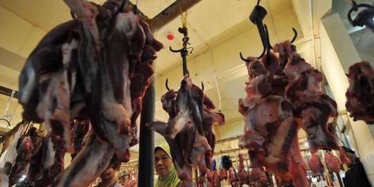 daging beku tinggi