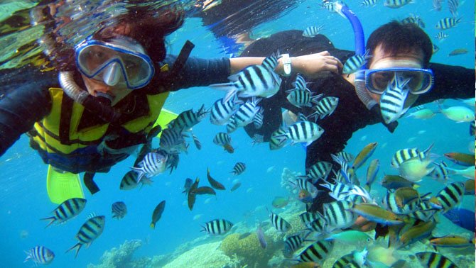 liburan di karimunjawa