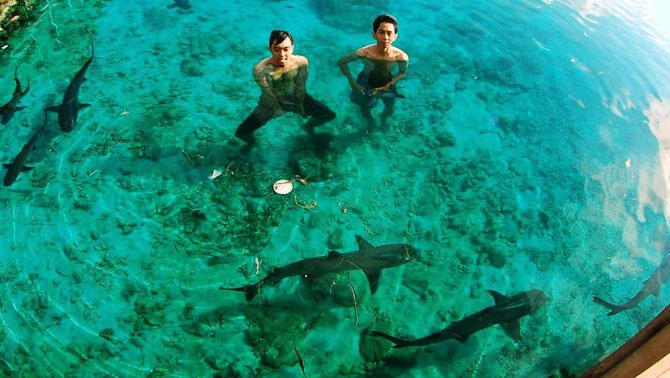 liburan di karimunjawa