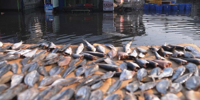 Nelayan di Lebak was-was melaut usai diterjang banjir rob