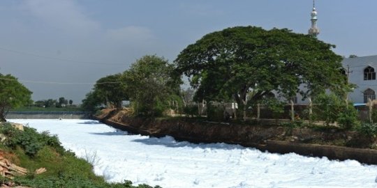 india rev2