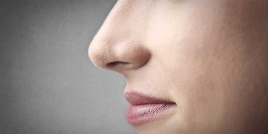 Tak hanya untuk bernapas, ini 7 fakta menarik lain tentang hidung