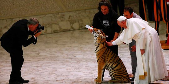 Reaksi Paus Francis ketika bertemu harimau