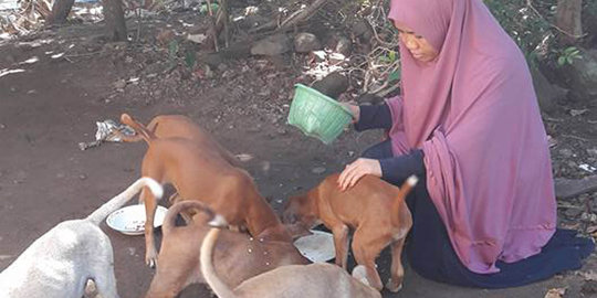 Wanita berhijab jawab kritik gara-gara beri makan anjing