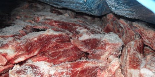 4 Ton daging babi ilegal di Jambi dimusnahkan