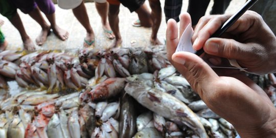 DPR anggap impor ikan pemerintah turunkan martabat negara