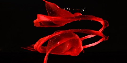 darah menstruasi rev1