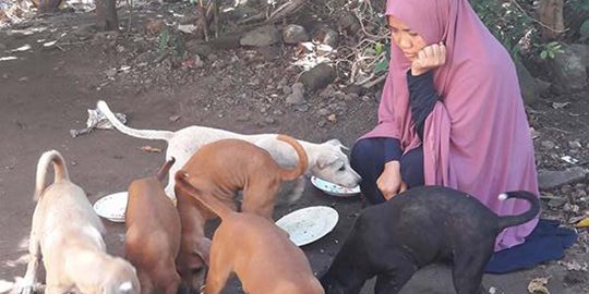 Hijaber Desy sudah kenyang makian gara-gara merawat puluhan anjing