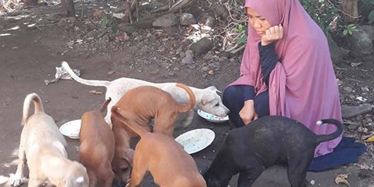 Hijaber Desy butuh dana operasi anjing patah kaki usai diamuk warga