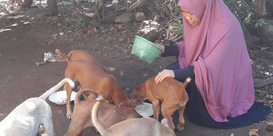 Hijaber Desy gadaikan cincin ibu demi menolong nyawa seekor anjing