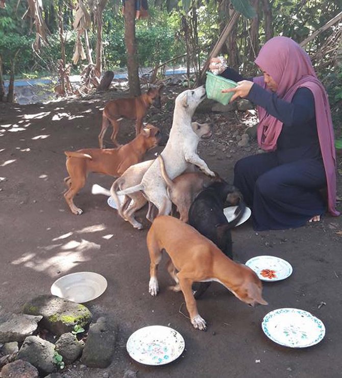 wanita berhijab beri makan anjing