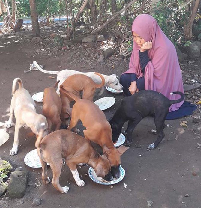 wanita berhijab beri makan anjing