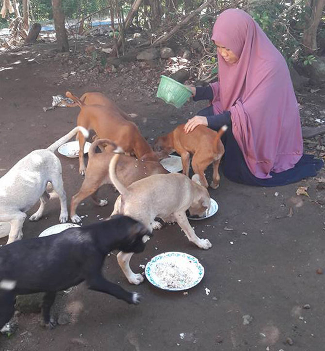 wanita berhijab beri makan anjing