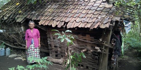 Nenek Mujiati tinggal bersama ayam di rumah nyaris roboh