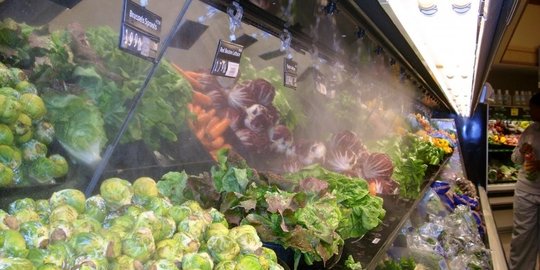 sayur selalu rutin untuk disemprot air