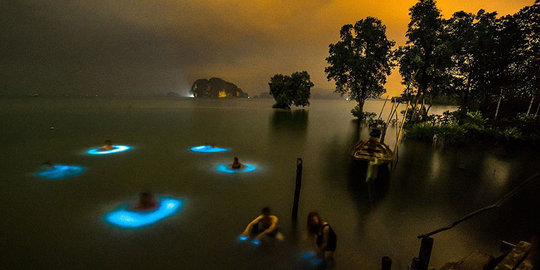 Secercah keajaiban malam di Pantai Krabi, Thailand