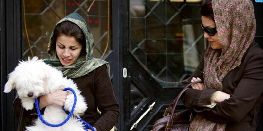 Pemerintah Iran tangkapi anjing peliharaan pakai alasan haram