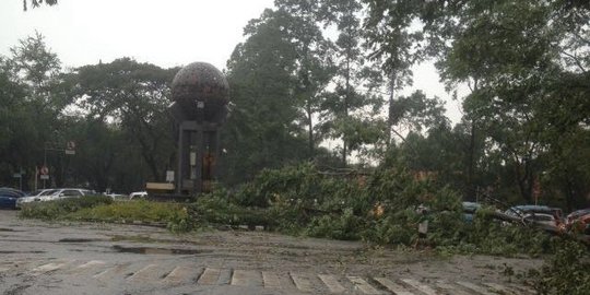 Hujan disertai angin kencang di Tangerang tumbangkan banyak pohon