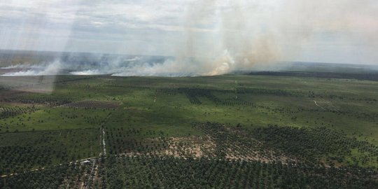 TNI dan Polisi tak kompak soal kebakaran lahan sawit di Rokan Hilir