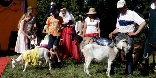 Kontes kambing tercantik di Lituania