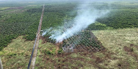 Kebakaran hutan dan proyek Pantura jadi PR menahun