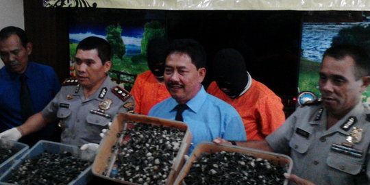 Dua penjual jamur kotoran sapi di Bali diciduk polisi