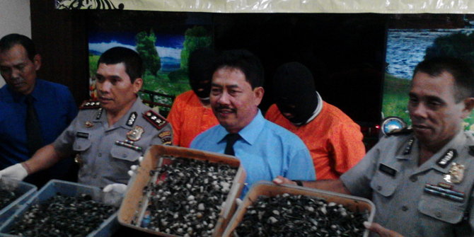 Animasi Jamur Letong