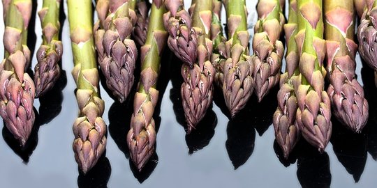 5 makanan ini punya perbedaan bentuk signifikan sebelum diolah!