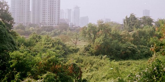 Kasus lahan Cengkareng, DPRD DKI akan bentuk pansus aset