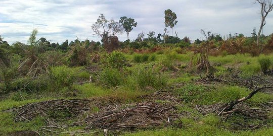 Kasus lahan Cengkareng, Kadis Perumahan DKI bantah bagi-bagi uang