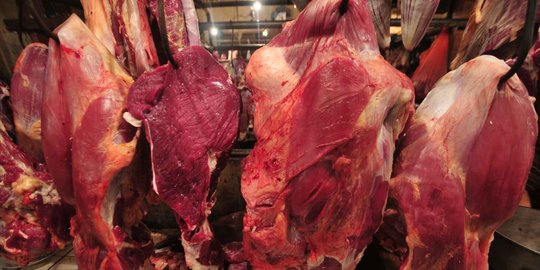 Menkeu: sampai Juni, ada 385 ton daging sapi impor ilegal masuk RI