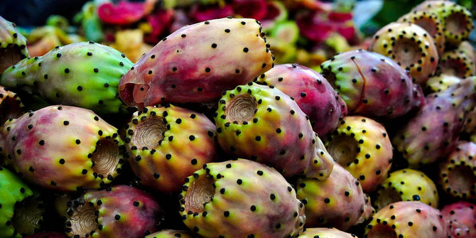 Buah kaktus, salah satu panganan terlaris saat Ramadan di Mesir