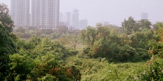 Dinas perumahan tegaskan tak tahu lahan Cengkareng masuk aset DKI