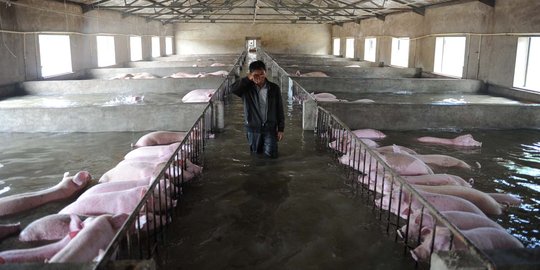 Peristiwa unik dan lucu saat banjir bandang melanda China