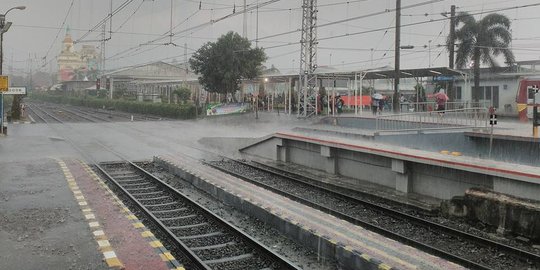 Pohon tumbang akibat hujan es disertai angin landa Bogor