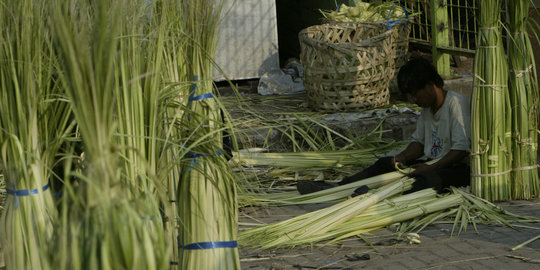 Curi janur di ladang, Ketut digiring warga ke kantor polisi